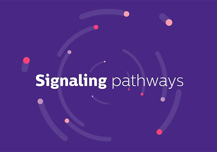 Philips OncoSignal: Signaling-driven medicine