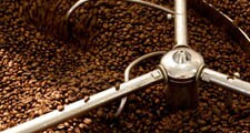 פולי הקפה הירוקים נקלים כדי להשיג את הטעם הרצוי